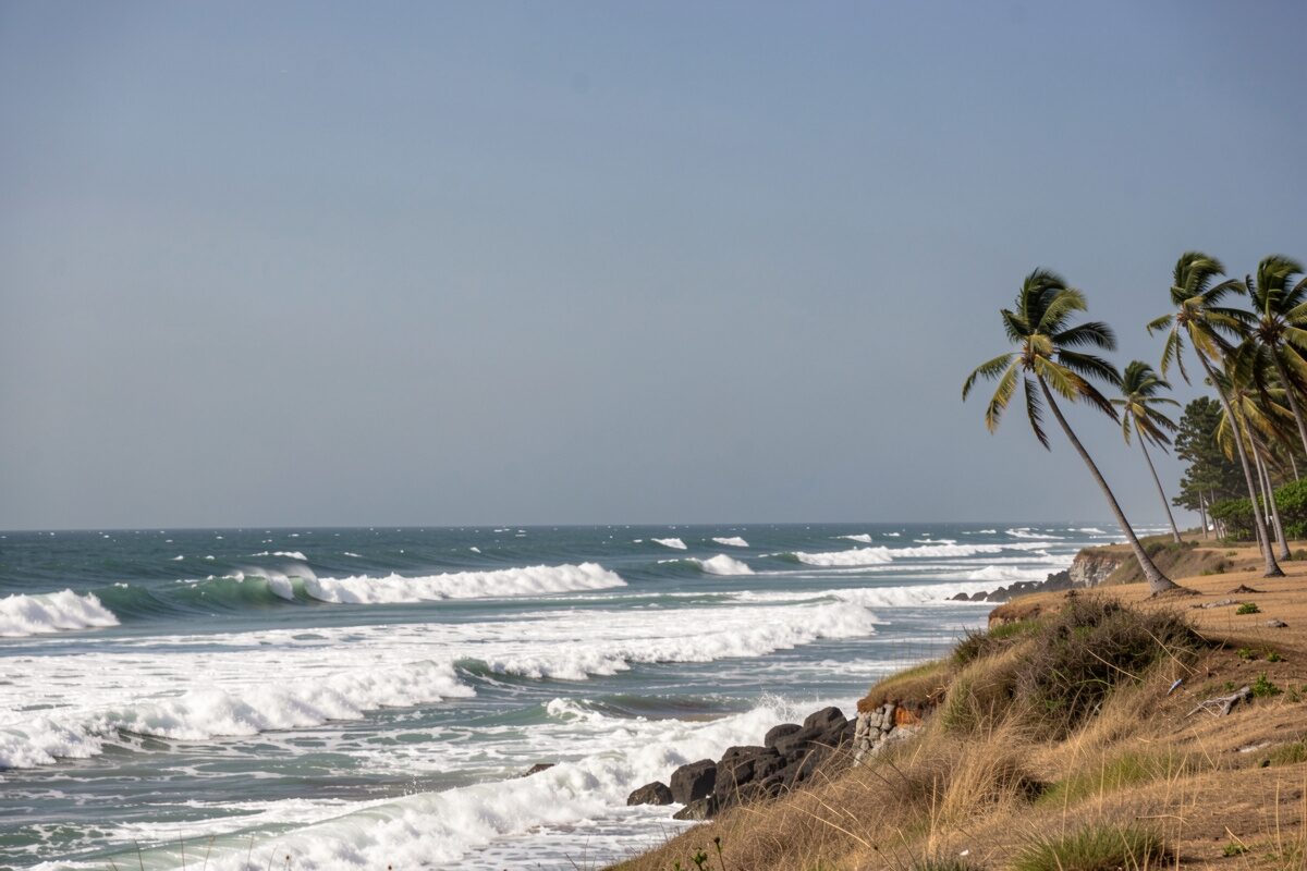 Une mer creusée par le vent, crêtes blanches alignées, palmiers pliés sur la côte, ciel net et dur.
